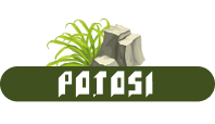 potosi